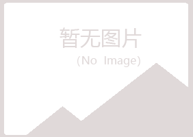 铜官山区迷失司法有限公司